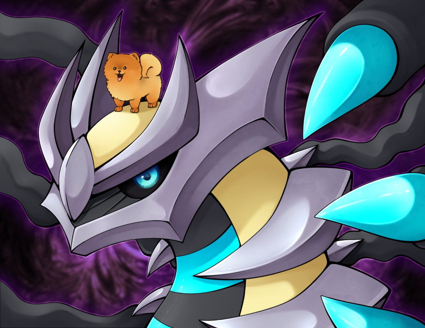 alternate_color animal animal_ears animal_on_head black_sclera blue_eyes colored_sclera commission dog dog_ears dog_tail giratina giratina_(origin) highres no_humans on_head pokemon pokemon_(creature) pomeranian_(dog) shiny_pokemon slys_(jesterdysphoria) tail tongue tongue_out