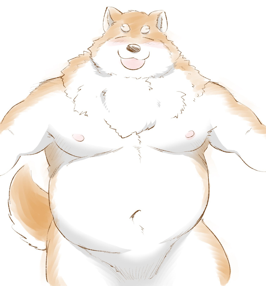 2022 anthro belly big_belly blush brown_body canid canine canis eyes_closed hi_res kemono male mammal moobs navel nipples overweight overweight_male ramen_wolf_and_curry_tiger samoji simple_background solo white_body wolf