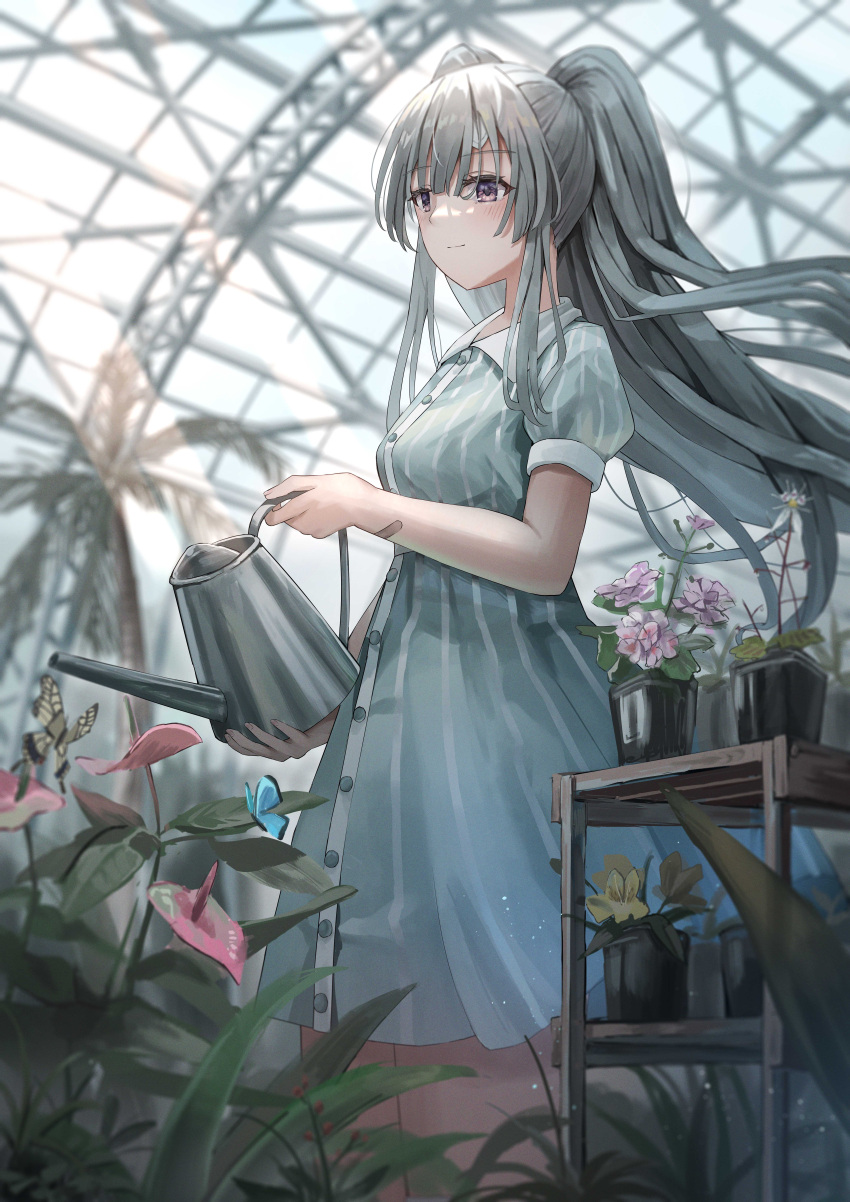 1girl absurdres bandaid bandaid_on_arm bandaid_on_face bandaid_on_forehead bangs blush bug butterfly closed_mouth dress eyebrows_visible_through_hair greenhouse grey_dress grey_hair highres holding idolmaster idolmaster_shiny_colors indoors light_rays long_hair nemu_kotatsu palm_tree plant potted_plant purple_eyes short_sleeves smile solo striped striped_dress sunbeam sunlight tree two_side_up vertical-striped_dress vertical_stripes very_long_hair watering yukoku_kiriko