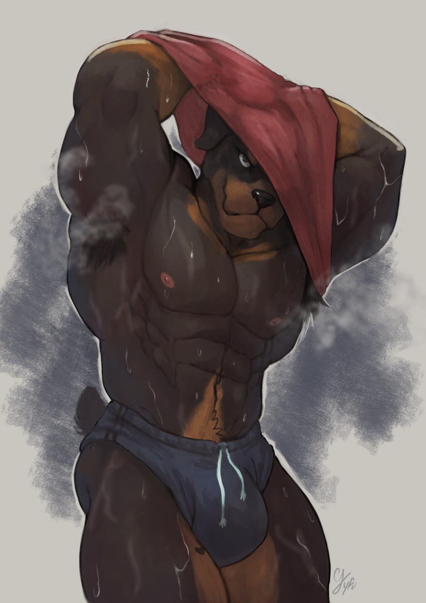 2022 abs after_exercise anthro armpit_hair arms_above_head barazoku big_bulge big_muscles bodily_fluids body_hair bottomwear bulge canid canine canis clothed clothing domestic_dog fur grey_background gyfu hi_res hotpants huge_bulge huge_muscles looking_at_viewer male mammal mastiff molosser muscular muscular_anthro muscular_male musk narrowed_eyes navel nipples obliques pecs raised_clothing raised_shirt raised_topwear rottweiler shirt shorts signature simple_background smile solo standing sweat topless topless_anthro topless_male topwear tuft undressing wet wet_body wet_clothing wet_fur