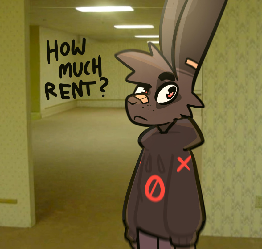 absurd_res anthro band-aid band-aid_on_nose bandage black_body black_fur cheek_tuft clothing eyebrows facial_tuft fur grey_body grey_fur hi_res hoodie humor lagomorph leporid liminal_spaces looking_at_viewer male mammal meme nix_(the_xing1) rabbit raised_eyebrow solo sweatpants the_xing1 topwear tuft