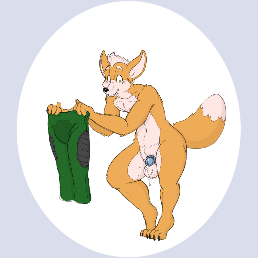 1:1 2021 anthro balls blush blush_lines bodily_fluids bottomwear canid canine chastity_cage chastity_device claws clothing cum cum_on_balls cum_on_clothing cum_stain ejaculation fox fox_mccloud fur genital_fluids genitals green_bottomwear green_clothing green_pants hi_res holding_bottomwear holding_clothing holding_object holding_pants inner_ear_fluff looking_down looking_worried male mammal nintendo nude pants pihlaja raised_tail solo stain stained_clothing star_fox tiptoes toe_claws tuft video_games
