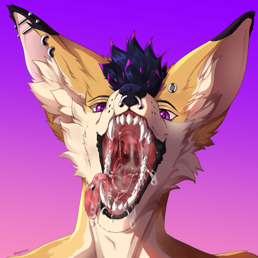 1:1 absurd_res alegrimm anthro artist_name big_ears black_body black_ears black_eyebrows black_fur black_hair black_lips black_nose bodily_fluids canid canine cheek_tuft dipstick_ears dubs_(dtf) ear_piercing ear_ring excessive_saliva eyebrows facial_piercing facial_tuft fangs fennec fox fur gauged_ear gradient_background hair headshot_portrait hi_res industrial_piercing inner_ear_fluff lip_piercing lip_ring lips looking_at_viewer male mammal mouth_shot multicolored_ears multicolored_hair nose_piercing open_mouth piercing portrait purple_eyes purple_hair rear_view red_tongue ring_piercing saliva saliva_on_chin saliva_on_tongue saliva_string septum_piercing sharp_teeth simple_background solo tan_body tan_ears tan_fur teeth tongue tongue_out tongue_piercing tuft two_tone_hair white_body white_fur white_inner_ear_fluff