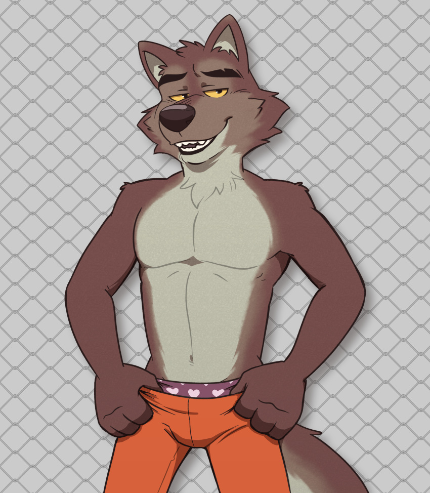 absurd_res anthro black_nose bottomwear brown_body brown_fur canid canine canis chain-link_fence clothed clothing dreamworks fangs fence fur heart_clothing heart_print heart_underwear hi_res lidded_eyes looking_at_viewer male mammal mr._wolf_(the_bad_guys) open_mouth partially_clothed pecs print_clothing print_underwear prison_uniform prisoner pulling_pants_down shirtless simple_background solo teeth the_bad_guys underwear undressing wolf yellow_eyes