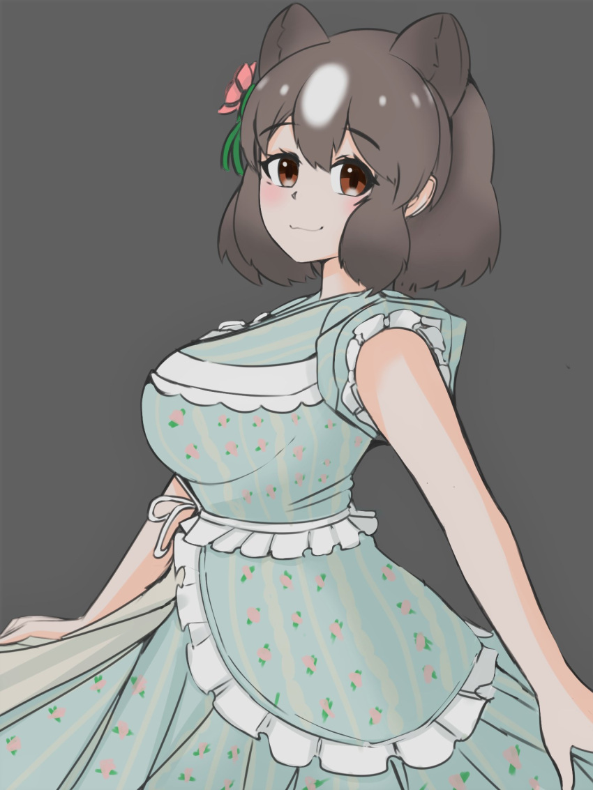 1girl :3 alternate_costume animal_ears bear_ears bear_girl blue_dress blush brown_bear_(kemono_friends) brown_eyes brown_hair dress extra_ears eyebrows_visible_through_hair floral_print flower frilled_dress frills hair_flower hair_ornament highres kemono_friends looking_at_viewer multicolored_hair nanoder short_hair short_sleeves solo two-tone_hair white_hair