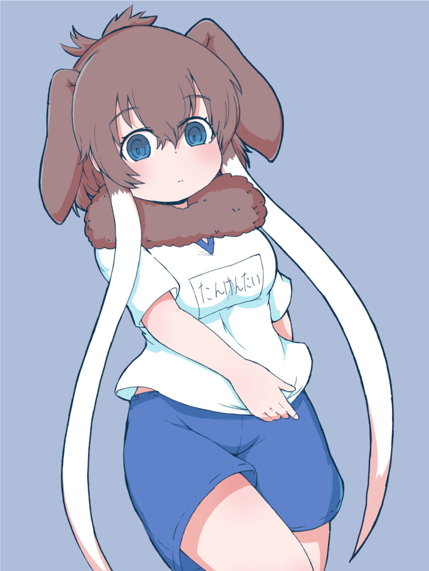 1girl alternate_costume blue_eyes blue_shorts brown_fur brown_hair cowboy_shot elephant_ears elephant_girl extra_ears eyebrows_visible_through_hair fur_collar gym_shirt gym_shorts gym_uniform highres kemono_friends long_hair looking_at_viewer mammoth_(kemono_friends) name_tag numazoko_namazu shirt short_sleeves shorts sidelocks solo t-shirt translation_request white_hair white_shirt