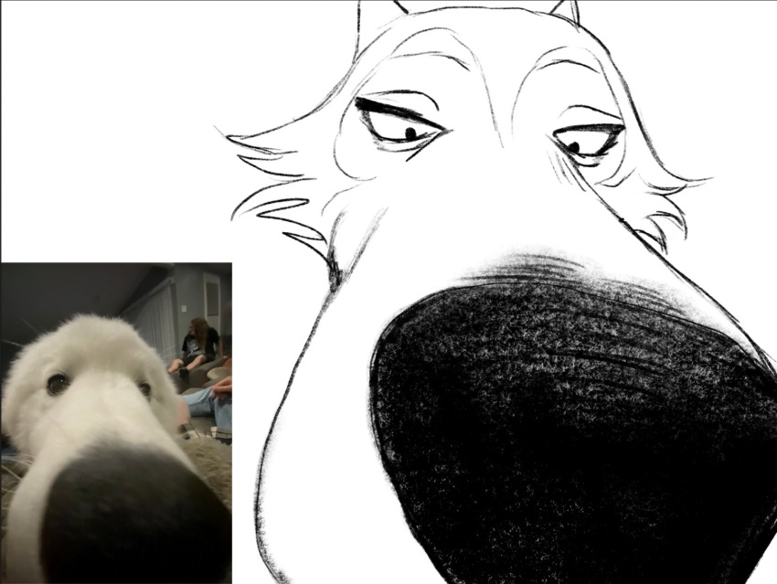 beastars big_nose canid canine canis close-up depth_of_field domestic_dog drawing hi_res legoshi_(beastars) male mammal solo valentitans wolf zoom