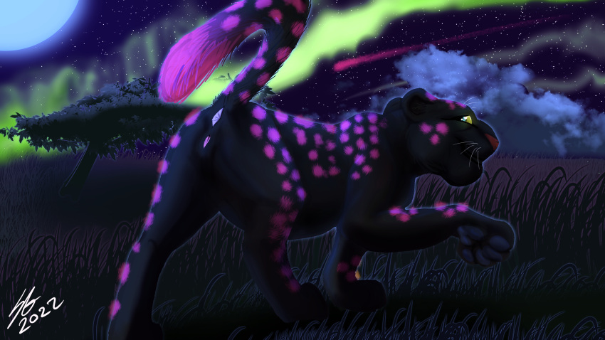 absurd_res anatomically_correct anatomically_correct_anus anatomically_correct_genitalia anatomically_correct_pussy animal_genitalia anus aurora_borealis black_body black_fur blue_moon borea_(soulgryph) bright_night butt cloud digital_media_(artwork) felid female feral fur genitals glowing glowing_markings grass hi_res leopard looking_at_viewer mammal markings moon pantherine pinup plant pose presenting presenting_anus presenting_hindquarters presenting_pussy purple_markings purple_spots pussy quadruped raised_tail shooting_star smile solo soulgryph spots star