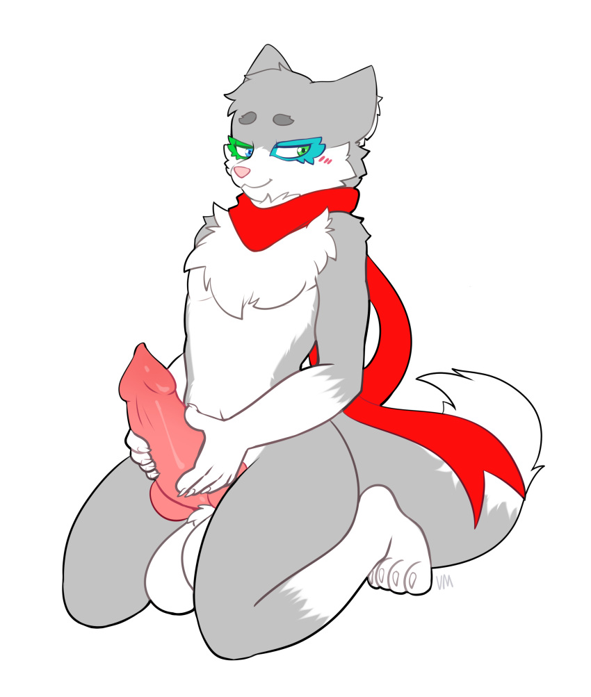 absurd_res anthro balls big_balls big_penis blush blush_lines canid canine canis fur genitals hand_on_penis hi_res inner_ear_fluff knot male mammal neck_tuft penis scarf solo tuft villmix wolf wolf_wolfindeir