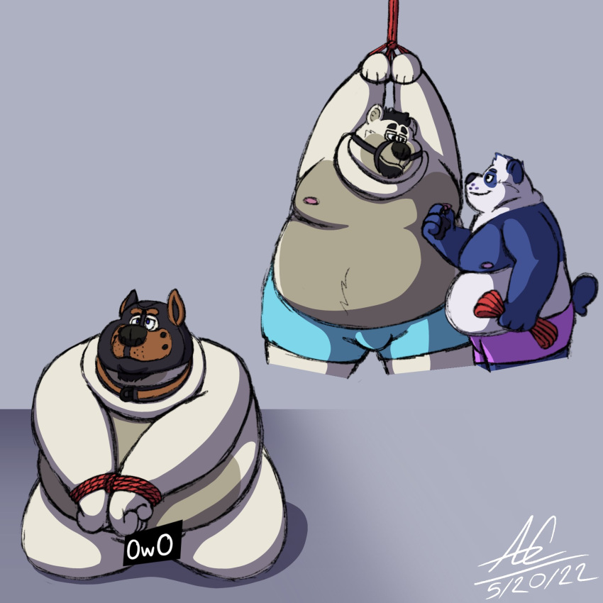 2022 animal_mask anthro bdsm belly big_belly bigmrshmllw_pup bondage bound bulge clothing duo giant_panda hi_res male male/male mammal mask moobs nipples overweight overweight_male pup_mask rope underwear ursid