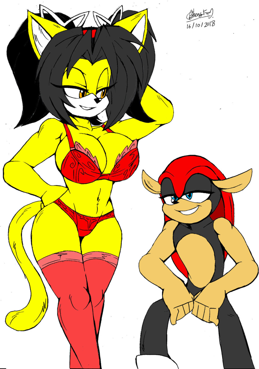 2018 accessory akatsukishiranui-fox anthro armadillo bedroom_eyes biceps bra clothing domestic_cat duo felid feline felis female female_focus headband hi_res honey_the_cat legwear lingerie male mammal mighty_the_armadillo narrowed_eyes panties seductive sega simple_background sonic_the_fighters sonic_the_hedgehog_(series) stockings underwear white_background xenarthran