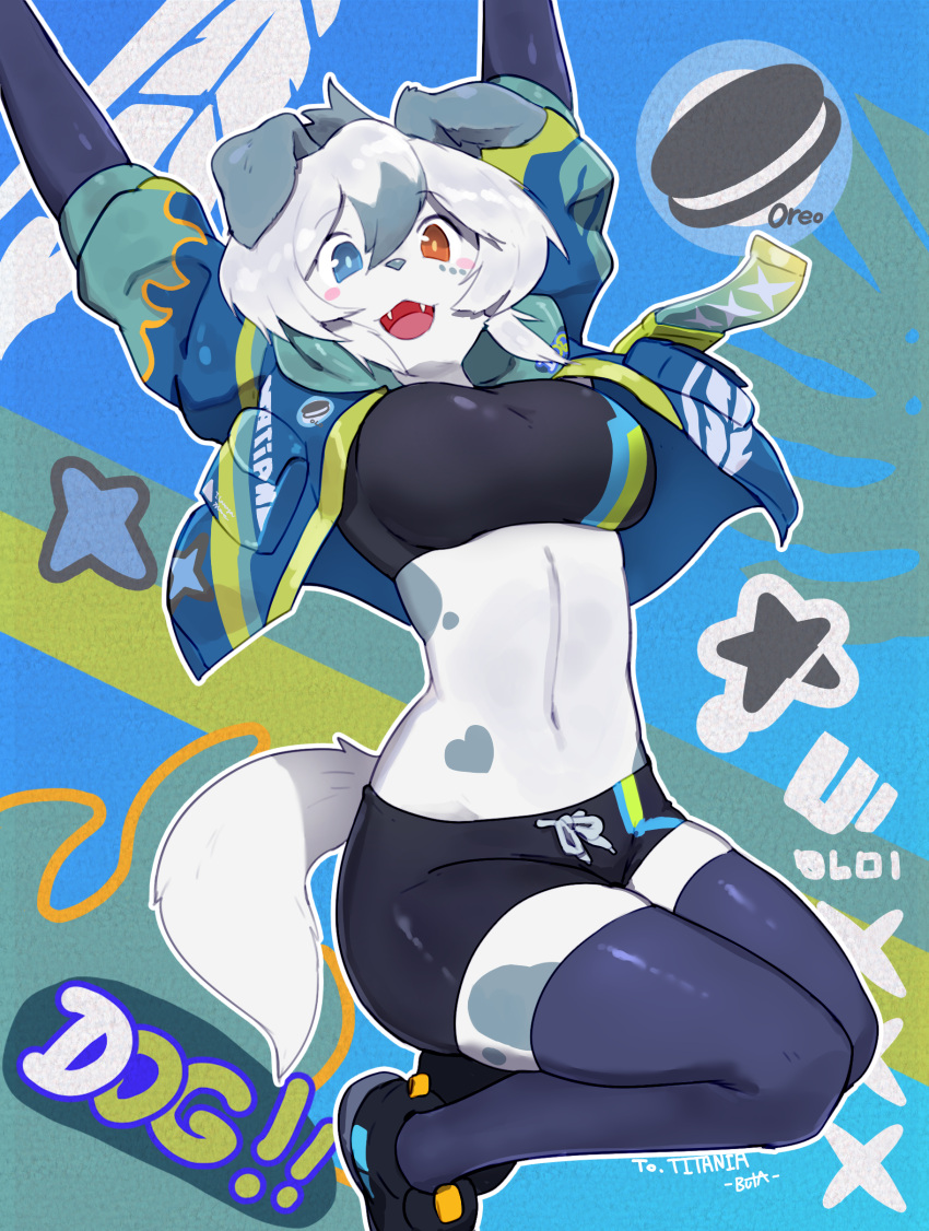 2022 absurd_res anthro bike_shorts blue_eyes blush blush_stickers bottomwear bra breasts buta99 canid canine canis clothed clothing cute_fangs domestic_dog female food fur grey_body grey_fur grey_hair hair heart_(marking) heterochromia hi_res kemono legwear looking_at_viewer mammal multicolored_body multicolored_fur multicolored_hair navel orange_eyes oreo_(food) shorts solo sports_bra thigh_highs underwear white_body white_fur white_hair