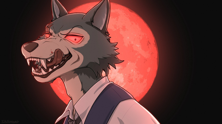 2022 anthro beastars blood blood_moon bodily_fluids canid canine canis clothing fur hi_res legoshi_(beastars) male mammal netflix red_eyes sharp_teeth solo teenager teeth tongue tongue_out topwear twistedhound wolf young