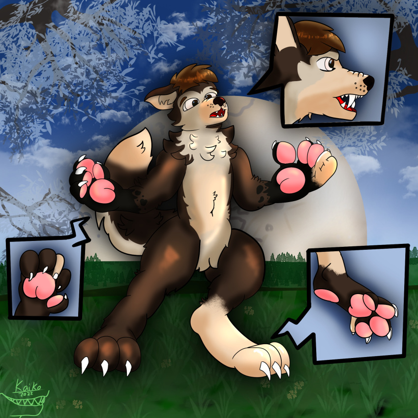 ambiguous_gender anthro canid canine canis full_moon fur fur_growth growth hi_res human human_to_anthro humanoid kaikotheshark looking_surprised male male/male mammal mid_transformation moon nude pawpads paws sequence snout snout_growth solo species_transformation transformation were werecanid werecanine werewolf wolf