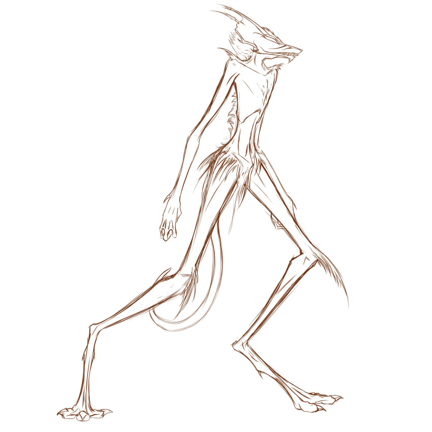 anthro chimera claws hair hi_res kunako long_legs male nude simple_background sketch slim solo tall white_background