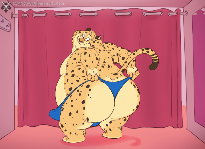 2022 anthro benjamin_clawhauser big_butt bulge butt butt_focus cedamuc1 cheetah clothing colored disney erection felid feline hi_res huge_butt looking_back male mammal mostly_nude obese obese_anthro obese_male oiruse overweight overweight_anthro overweight_male rear_view shaded speedo standing swimwear thick_thighs wide_hips zootopia