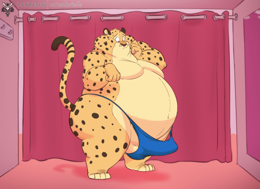 20222 anthro balls benjamin_clawhauser big_butt butt cedamuc1 cheetah clothing colored disney erection felid feline fur genitals hi_res looking_at_genitalia looking_at_penis male mammal moobs mostly_nude navel obese obese_anthro obese_male oiruse overweight overweight_anthro overweight_male penis shaded solo speedo spots spotted_body spotted_fur standing swimwear thick_thighs zootopia