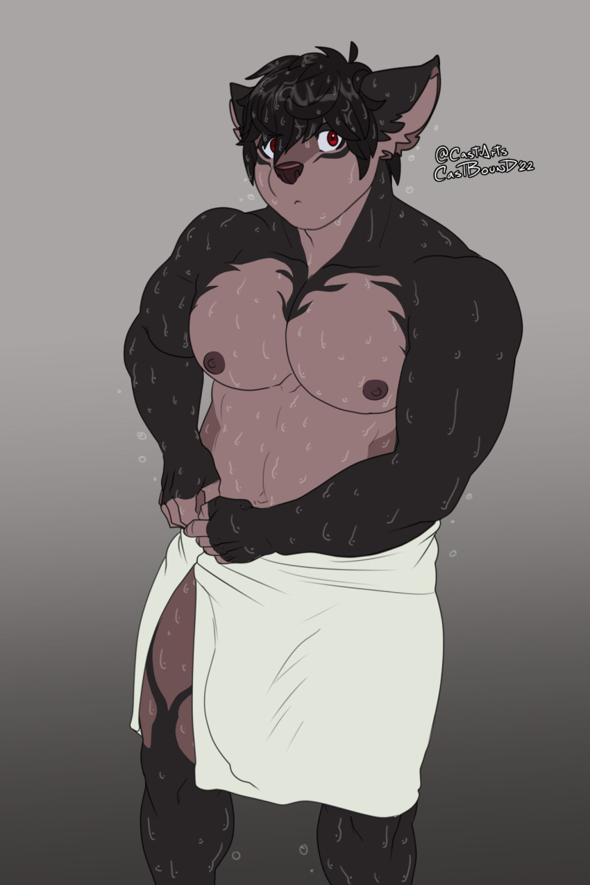 anthro brown_hair bulge canid canine canis castbound domestic_dog hair hi_res looking_at_viewer male mammal muscular nipples red_eyes russell_(castbound) slightly_chubby solo towel towel_only wet wet_hair