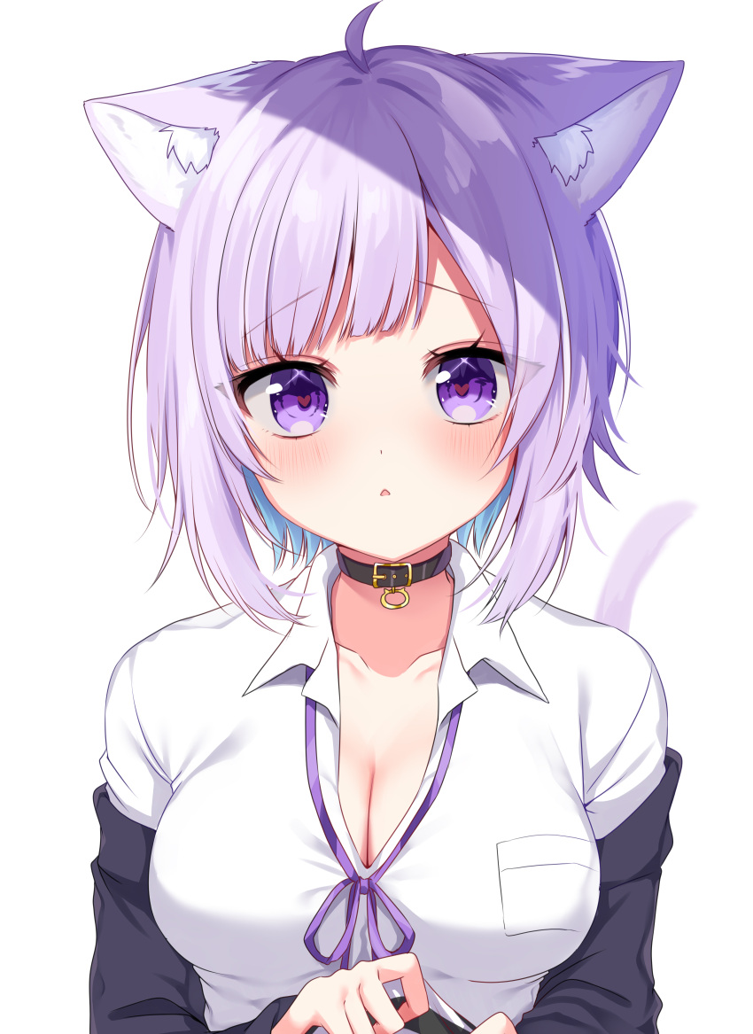 1girl absurdres ahoge animal_ears bad_id bad_pixiv_id bangs black_collar breasts cat_ears cleavage closed_mouth collar collared_shirt highres hololive large_breasts looking_at_viewer nekomata_okayu purple_eyes purple_hair shinonome_asu shirt short_hair simple_background solo upper_body virtual_youtuber white_background white_shirt