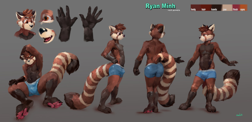 ailurid anthro arm_over_head black_arms black_body black_chest black_claws black_ears black_feet black_fur black_hands black_legs black_nose black_tail blue_clothing blue_underwear brown_arms brown_body brown_face brown_fur brown_hair brown_inner_ear_fluff brown_legs brown_stripes bulge cheek_tuft chest_tuft claws clothing color_swatch dipstick_tail facial_markings facial_tuft fangs front_view fur glistening glistening_eyes glistening_nose glistening_pawpads gloves_(marking) grey_background hair hand_on_hip head_markings headshot_portrait inner_ear_fluff leg_markings male mammal markings multiple_poses narrowed_eyes navel open_mouth orange_eyes oselotti pawpads plantigrade portrait pose rear_view red_panda red_pawpads red_tongue shadow short_hair side_view signature simple_background sitting smile socks_(marking) solo spread_legs spreading standing striped_body striped_fur striped_markings striped_tail stripes tail_markings tan_body tan_ears tan_face tan_fur tan_stripes tongue tuft underwear