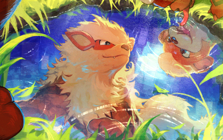 arcanine black_eyes bright_pupils closed_mouth commentary_request day drinking evolutionary_line fang fang_out grass growlithe nijimaarc no_humans outdoors pokemon pokemon_(creature) reflection ripples smile tongue tongue_out water white_pupils