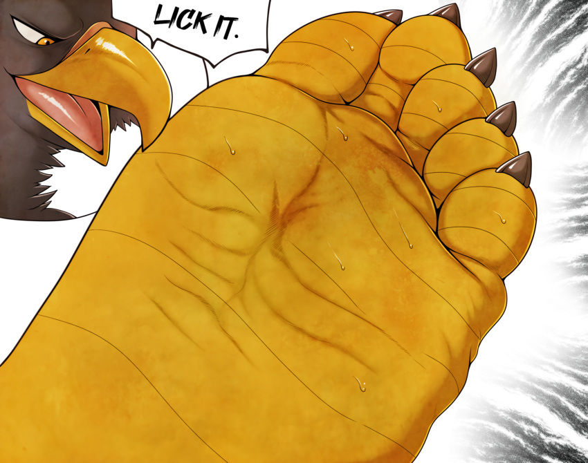 accipitrid accipitriform anthro avian barefoot beak bird black_body black_claws bodily_fluids claws digital_media_(artwork) eagle feet foot_fetish foot_focus fur hi_res male open_mouth simple_background smelly smelly_feet smile soles solo sweat tan_(artist) text toes tongue yellow_eyes yellow_feet