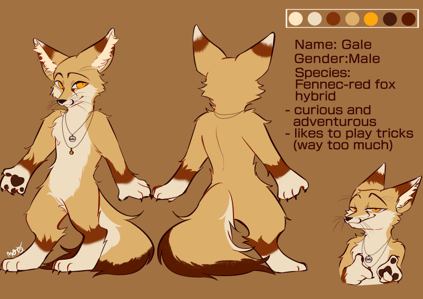 absurd_res accessory anthro bell brown_body brown_fur canid canine digital_media_(artwork) english_text fennec fox fur gale_(galefoxy) hi_res hybrid looking_at_viewer male mammal model_sheet moujiiz name_tag simple_background smile smirk solo text yellow_body yellow_eyes yellow_fur