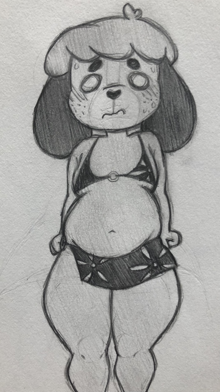 &lt;3 absurd_res animal_crossing anthro belly_overhang bikini bikini_bottom bikini_top black_ears blush bodily_fluids canid canine canis chubby_belly chubby_male clothing digby_(animal_crossing) domestic_dog embarrassed eyebrows floral_print hair heart_nose hi_res male mammal navel nintendo shih_tzu sketch slightly_chubby solo sweat swimwear thick_eyebrows thick_thighs toy_dog traditional_media_(artwork) two_piece_swimsuit video_games zlut385