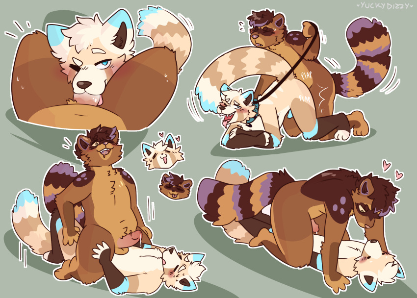 ailurid anthro blush bodily_fluids collar doggystyle drooling duo from_behind_position hi_res leash leash_pull male male/male mammal one_eye_closed procyonid raccoon red_panda riding saliva sex slightly_chubby sweat sweatdrop tail_motion tailwag wink yuckydizzy