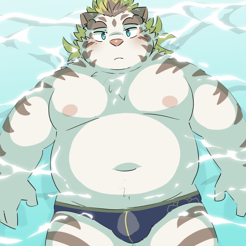 2022 anthro belly big_belly blush bulge clothing felid hi_res kemono licho_(tas) lifewonders male mammal moobs navel nipples overweight overweight_male pantherine ptcmtr solo tiger tokyo_afterschool_summoners underwear video_games water white_body