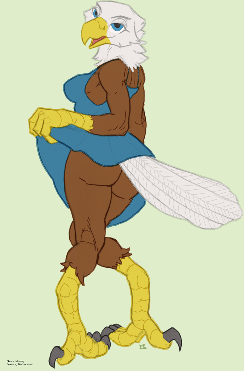 2022 4_toes 5_fingers absurd_res accipitrid accipitriform anisodactyl anthro avian bald_eagle beak bedroom_eyes big_breasts big_butt biped bird bird_feet bottomwear breasts butt butt_pose claws clothed clothing clothing_lift colored_sketch curvy_figure digital_media_(artwork) digitigrade eagle eyebrows eyelashes feathers feet female finger_claws fingers fully_clothed hi_res lakeslug looking_at_viewer looking_back looking_back_at_viewer narrowed_eyes ned_horseman_(artist) no_underwear non-mammal_breasts open_beak open_mouth open_smile pinup pose presenting presenting_hindquarters rear_view scuted_arms scutes sea_eagle seductive side_boob signature simple_background sketch skirt skirt_lift smile smiling_at_viewer solo standing tail_feathers tail_under_skirt talons thick_thighs toe_claws toes topwear wide_hips