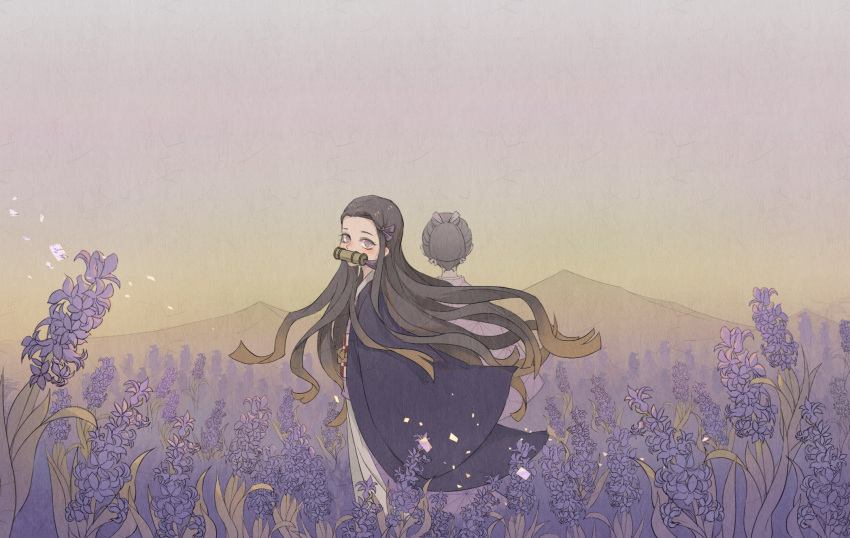 2girls bamboo bit_gag black_hair brown_hair colored_tips commentary_request dual_persona facing_away field floating_hair flower flower_field gag gradient_hair gradient_sky hair_ribbon haori highres hyacinth japanese_clothes kamado_nezuko kimetsu_no_yaiba kimono long_hair long_sleeves looking_at_viewer looking_to_the_side mountainous_horizon mouth_hold multicolored_hair multiple_girls nature nihongami obi outdoors petals pink_kimono purple_eyes purple_flower purple_ribbon ribbon sash sky solo_focus standing streaked_hair su_an twilight updo very_long_hair wind