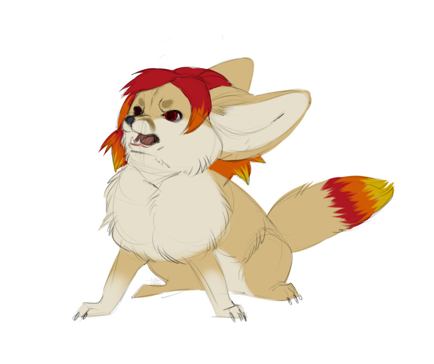 ambiguous_gender angry blonde_hair canid canine claws digital_media_(artwork) fennec feral fox hair hi_res koda_walker mammal multicolored_hair open_mouth orange_hair quadruped red_eyes red_hair simple_background sketch solo svana_(svana_fenner) toe_claws white_background