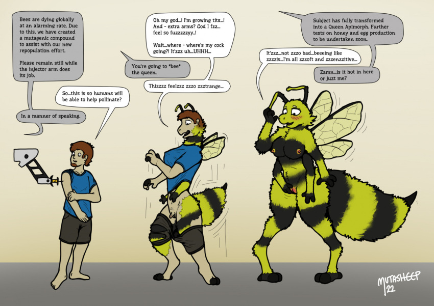 antennae_(anatomy) anthro arthropod arthropod_abdomen bee blush bottomwear breast_growth breasts clothing dialogue english_text facial_hair female fingering fingering_self gender_transformation genitals goatee growth human human_to_anthro hymenopteran injection insect insect_wings machine male mammal masturbation mtf_transformation multi_arm multi_limb needle_(disambiguation) nipples penis_shrinking pussy shirt shorts solo species_transformation speech_bubble stinger stripes t-shirt text topwear transformation transformation_sequence vaginal vaginal_fingering vaginal_masturbation wings yafath