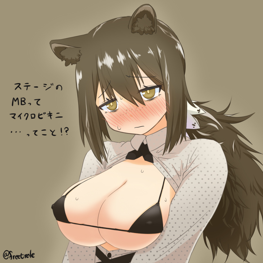 1girl animal_ears arknights bikini bikini_under_clothes black_bikini black_ribbon blush breasts breasts_out brown_background brown_hair cleavage covered_nipples freetirole highres large_breasts micro_bikini multicolored_hair neck_ribbon open_clothes open_shirt polka_dot polka_dot_shirt ponytail raccoon_ears ribbon robin_(arknights) shiny shiny_hair shirt simple_background solo streaked_hair sweat swimsuit twitter_username upper_body white_hair white_shirt yellow_eyes