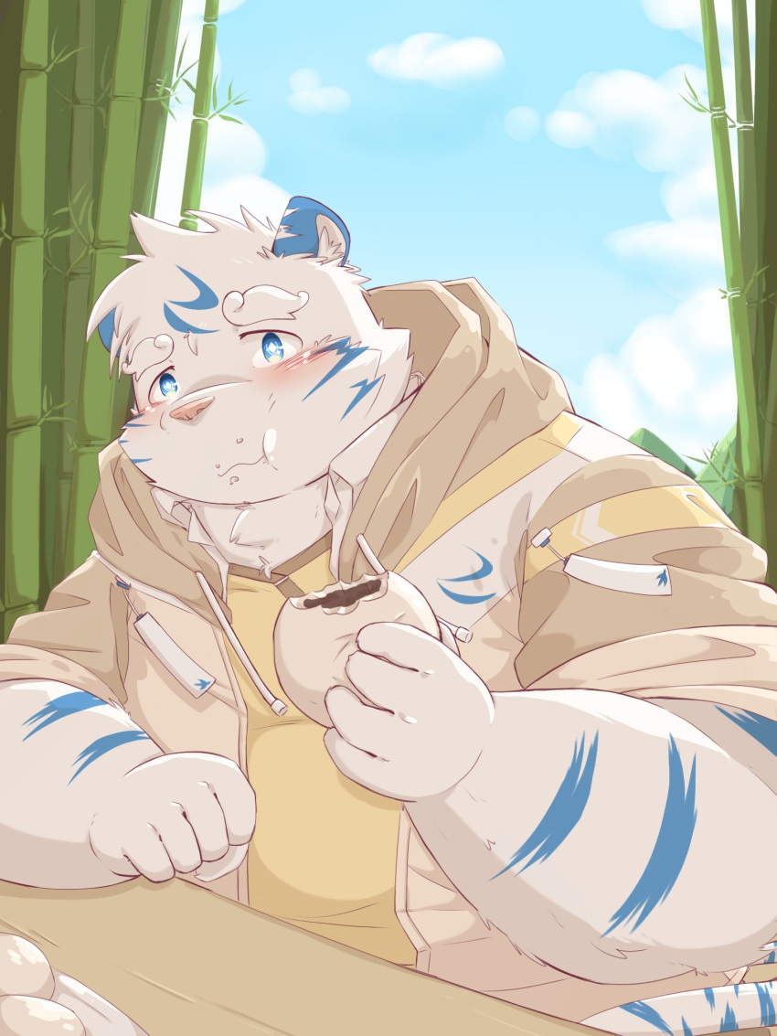 2022 anthro bamboo belly blue_body blue_eyes blush clothing eating felid food hi_res hoodie humanoid_hands kemono male mammal noichi_53 overweight overweight_male pantherine pink_nose sitting solo tiger topwear white_body