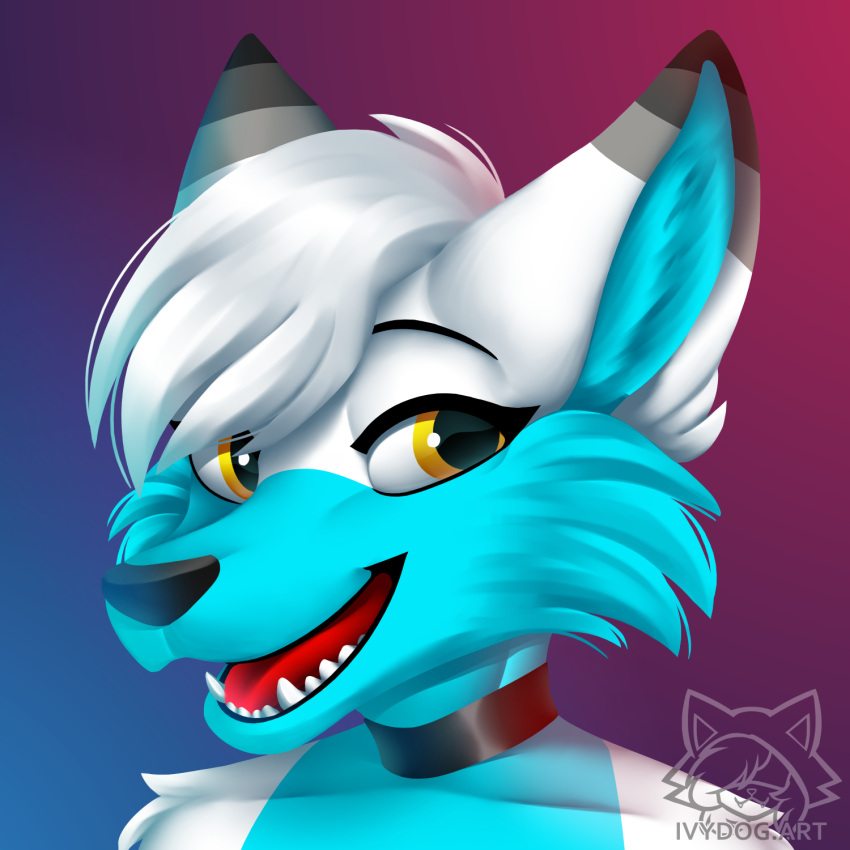 anthro blue_body blue_fur bust_portrait canid canine choker digital_media_(artwork) digital_painting_(artwork) fur gradient_background hi_res jewelry kiwifox_(artist) lineless looking_at_viewer mammal multicolored_body multicolored_fur necklace open_mouth open_smile portrait shaded simple_background smile solo teeth_showing two_tone_body two_tone_fur watermark white_body white_fur yellow_eyes