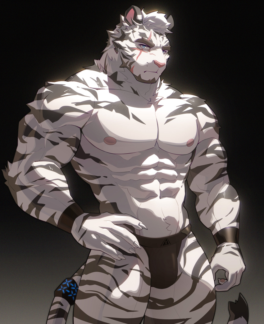 1boy abs absurdres arknights bara black_male_underwear briefs bulge facial_hair feet_out_of_frame furry furry_male goatee highres large_pectorals looking_at_viewer male_focus male_underwear mountain_(arknights) muscular muscular_male navel navel_hair nipples pectorals scar scar_across_eye scar_on_face short_hair solo stomach tail tail_ornament tail_ring thick_eyebrows thick_thighs thighs tiger_boy topless_male uiokv underwear underwear_only white_fur wristband