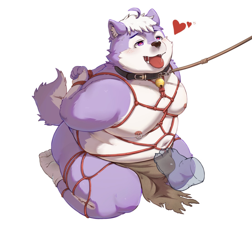 &lt;3 &lt;3_eyes 2022 anthro bdsm belly big_belly blush bodily_fluids bondage bottomwear bound bulge canid canine clothing collar foot_fetish foot_play footjob genital_fluids hi_res kemono leash loincloth male mammal moobs morian_xs navel nipples overweight overweight_male precum purple_body restraints rope rope_bondage rope_harness sex simple_background solo_focus tongue tongue_out white_body