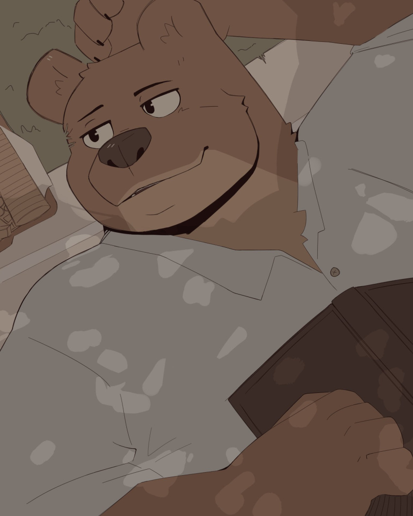 2022 anthro book brown_body clothing ernest_(ernest_and_celestine) ernest_and_celestine hi_res humanoid_hands lying male mammal shirt solo thebearalliance topwear ursid