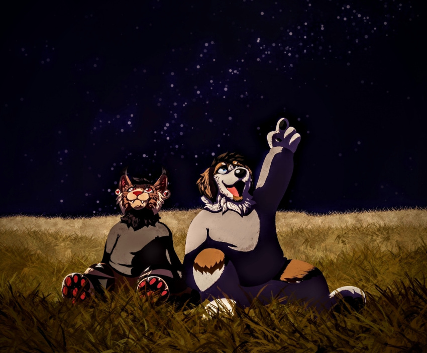 anthro canid canine canis cosmic_background detailed_background domestic_dog ear_piercing ear_ring felid field gesture grass male mammal milky_way molosser mountain_dog night open_mouth outside pawpads piercing pink_pawpads plant pointing rattdawg saint_bernard smile star stargazing tall_grass