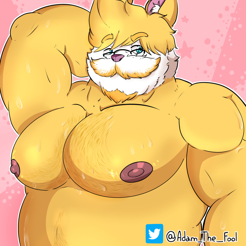 adamthefool anthro barazoku big_breasts bodily_fluids breasts eyewear facial_hair father fur glasses hair hi_res husband male male/male musclegut muscular muscular_anthro muscular_male mustache nipples nude parent pecs smile solo sweat yellow_body