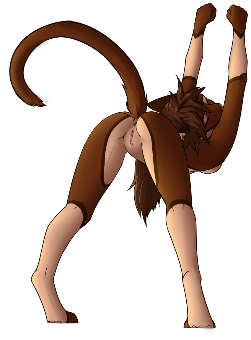 2021 5_fingers absurd_res against_surface against_wall anthro anus arched_back breasts brown_body brown_fur brown_hair butt catalina_(pintino) digital_media_(artwork) digitigrade domestic_cat eyes_closed felid feline felis female fingers fur genitals hair hands_over_head hi_res leaning leaning_forward long_hair long_tail mammal multicolored_body multicolored_fur nude paws pintino presenting presenting_hindquarters presenting_pussy pussy shaded simple_background solo standing two_tone_arms two_tone_body two_tone_fur two_tone_legs white_background white_body white_fur
