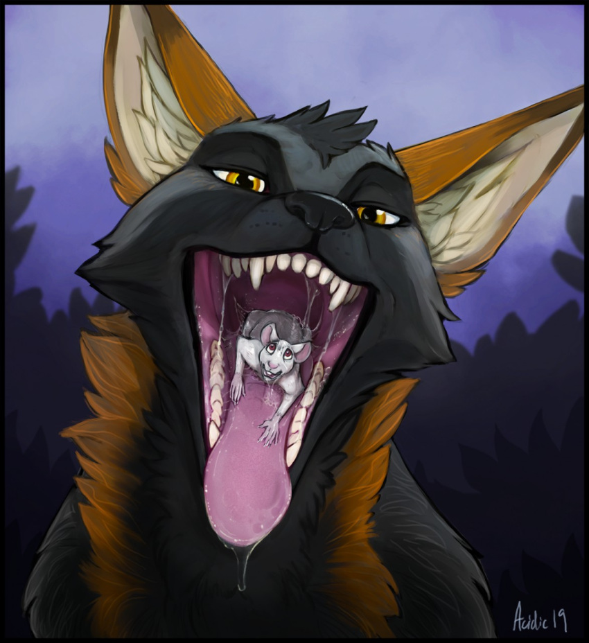 acidic ambiguous_gender bodily_fluids canid canine conditional_dnp cross_fox drooling fangs female feral fox hi_res inside_mouth mammal mouse mouth_shot murid murine open_mouth oral_vore red_fox rodent saliva teeth teeth_showing tongue vore zoe_(ralenfox)