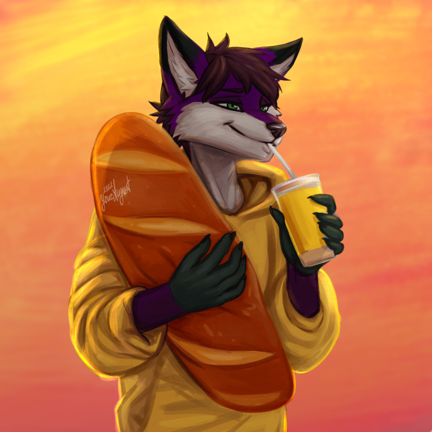 anthro bread canid canine drinking food fox hair hi_res loaf male mammal solo youraugust