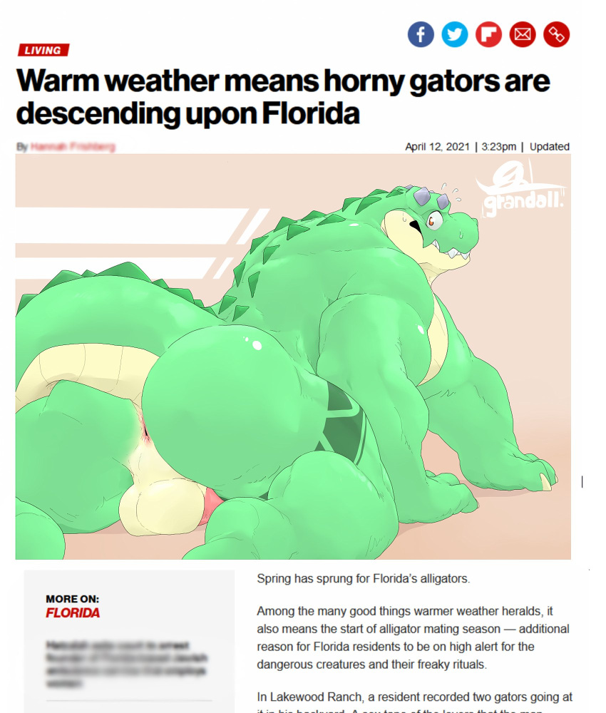 2022 all_fours alligator alligatorid anthro anus backsack balls big_butt big_muscles bodily_fluids butt crocodilian english_text florida genitals grandall_(artist) grandall_(character) hi_res humor looking_back male muscular muscular_anthro muscular_male news news_article news_report non-mammal_balls nude penis perineum presenting presenting_hindquarters reptile scales scalie signature smile solo sweat tattoo teeth text thick_thighs
