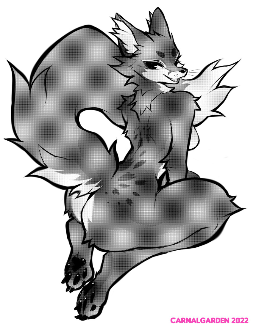 2022 anthro artist_name ben_day_dots breasts butt canid canine claws dated falvie female fox greyscale hi_res hindpaw inner_ear_fluff looking_at_viewer mammal monochrome nude open_mouth pawpads paws raised_tail rear_view shaded simple_background solo toe_claws tuft whiskers white_background