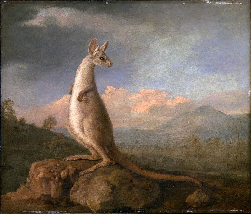 1772 18th_century ambiguous_gender ancient_art detailed detailed_background feral forest george_stubbs hi_res kangaroo looking_at_viewer macropod mammal marsupial outside painting_(artwork) plant solo traditional_media_(artwork) tree