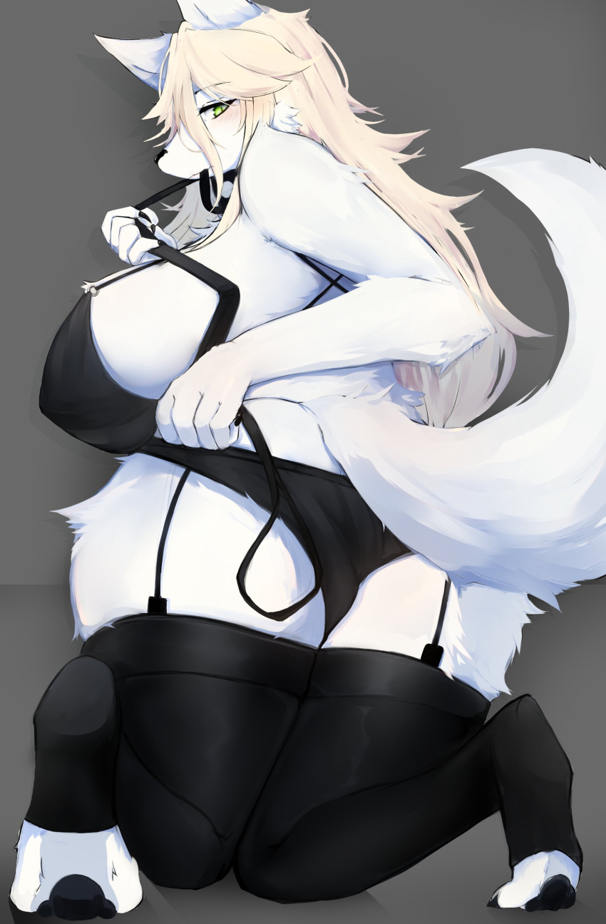 absurd_res anthro big_breasts blonde_hair breasts canid canine clothing female fur hair hi_res kyuukon mammal panties solo underwear white_body white_fur