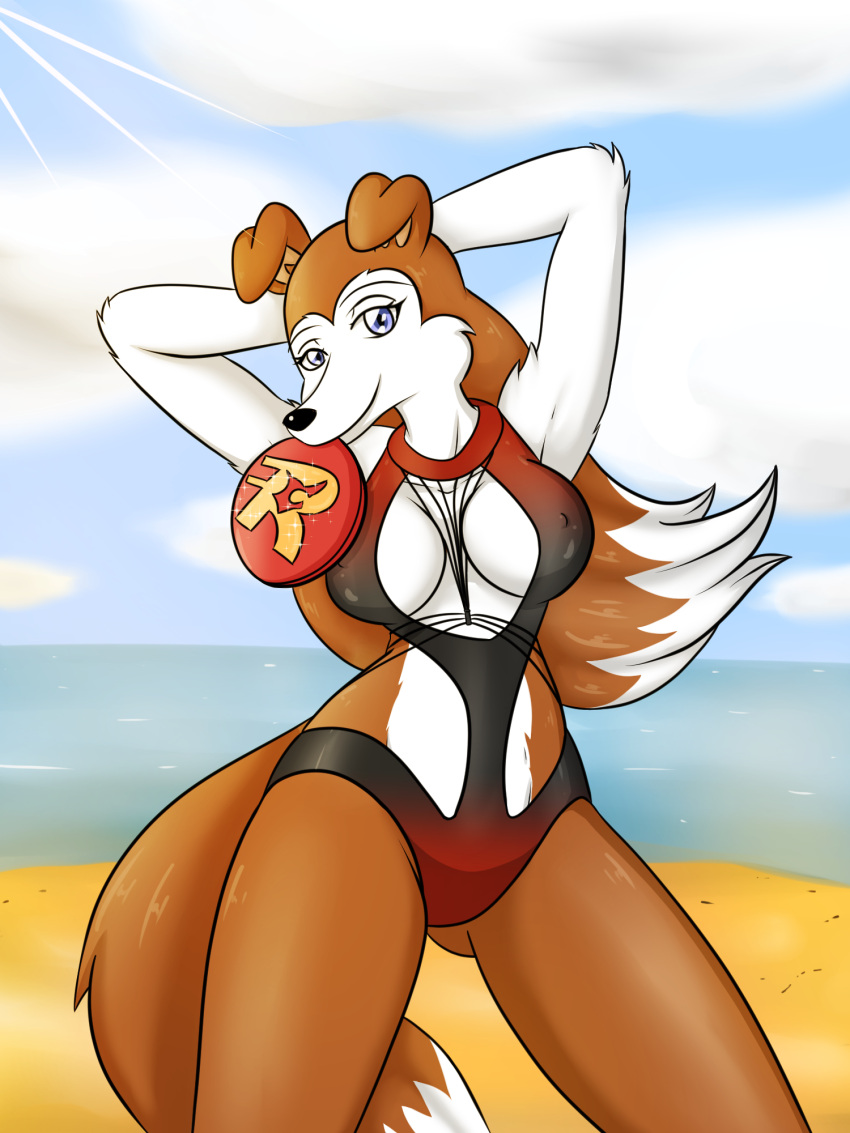 anthro beach breasts canid canine canis clothing colleen collie domestic_dog female frisbee frisbee_in_mouth hands_behind_head herding_dog hi_res looking_at_viewer mammal momo-the-bunny nipple_outline pastoral_dog road_rovers rough_collie seaside sheepdog solo swimwear